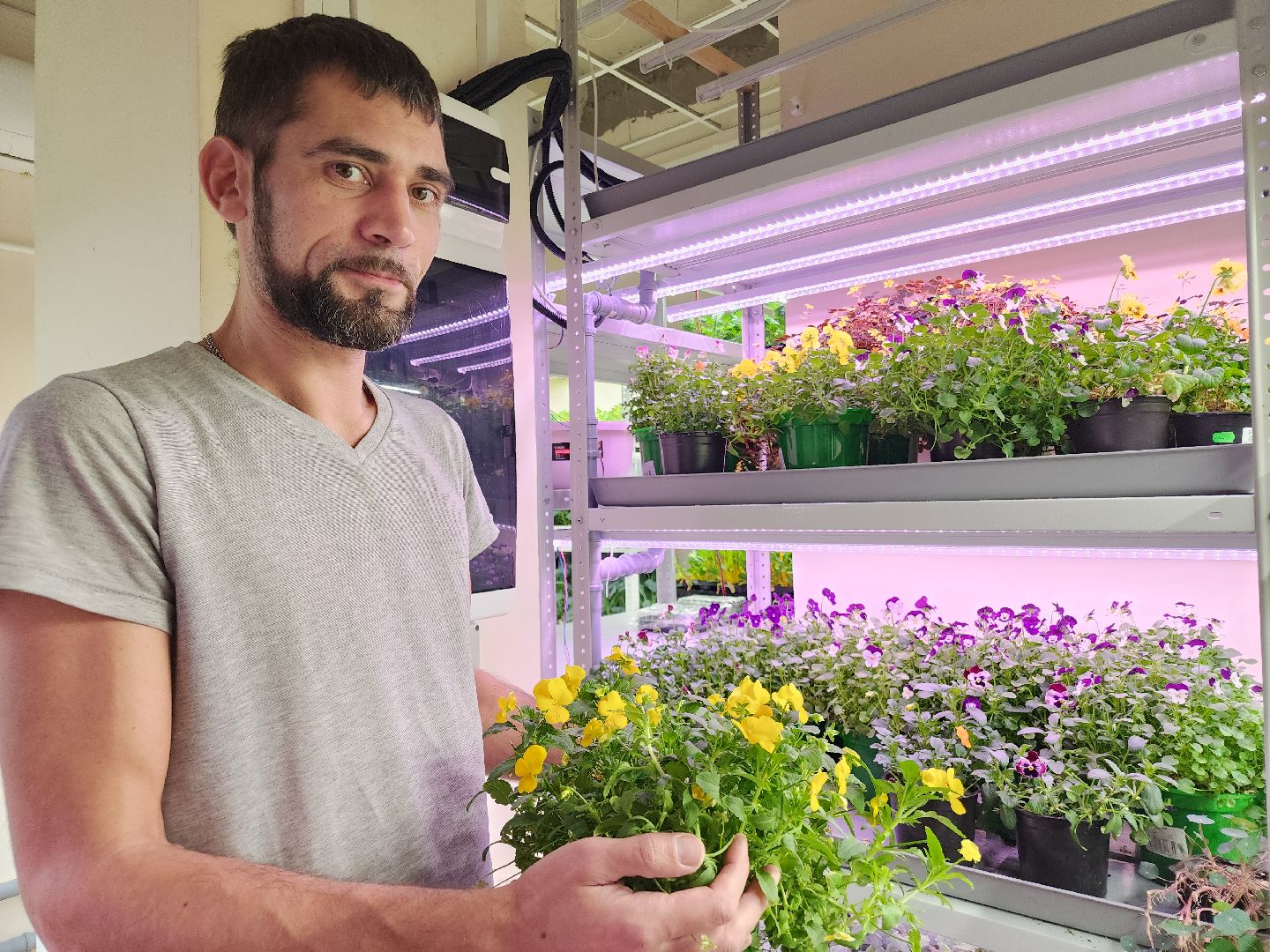 вертикали, малый бизнес, орехово зуево,вертикалка, вертикальное видео,