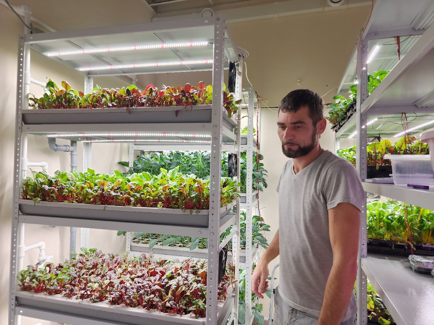 вертикали, малый бизнес, орехово зуево,вертикалка, вертикальное видео,