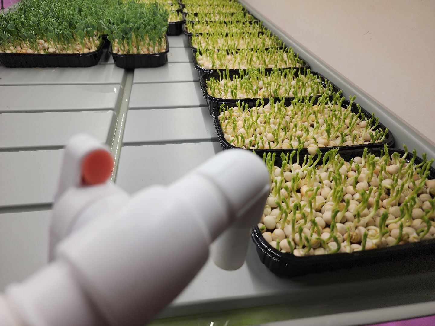 вертикали, малый бизнес, орехово зуево,вертикалка, вертикальное видео,