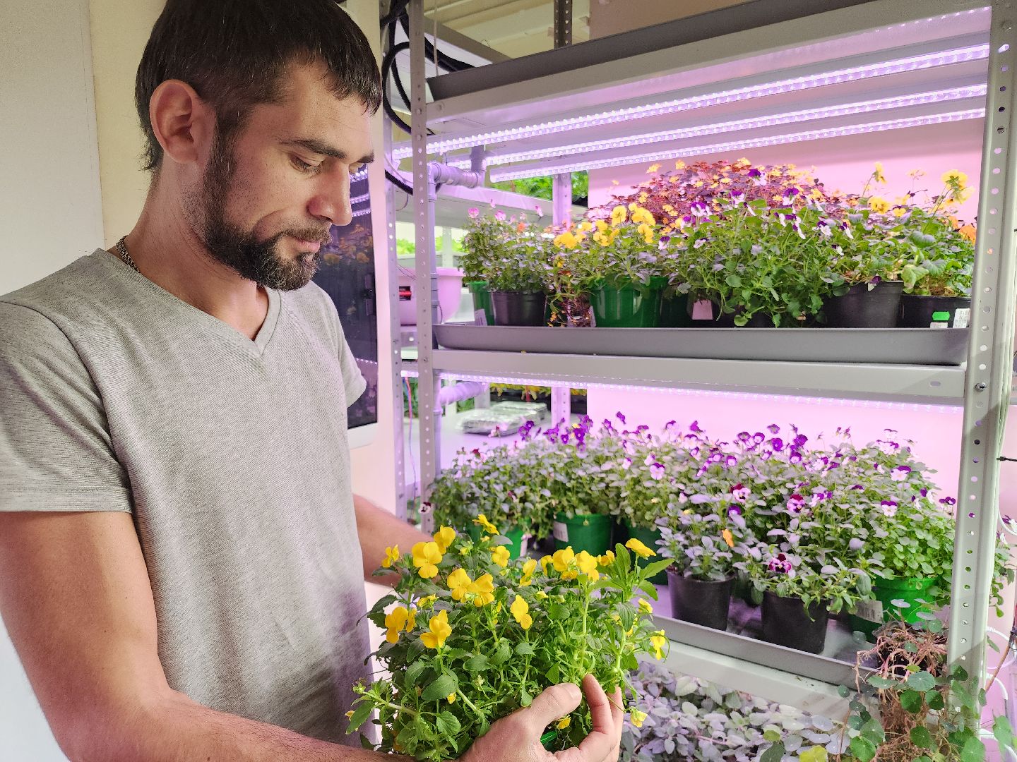 вертикали, малый бизнес, орехово зуево,вертикалка, вертикальное видео,