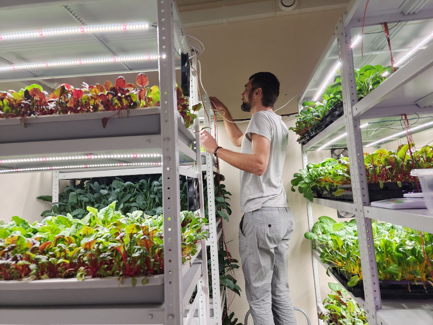 вертикали, малый бизнес, орехово зуево,вертикалка, вертикальное видео,