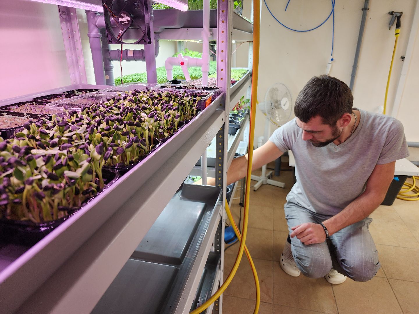 вертикали, малый бизнес, орехово зуево,вертикалка, вертикальное видео,