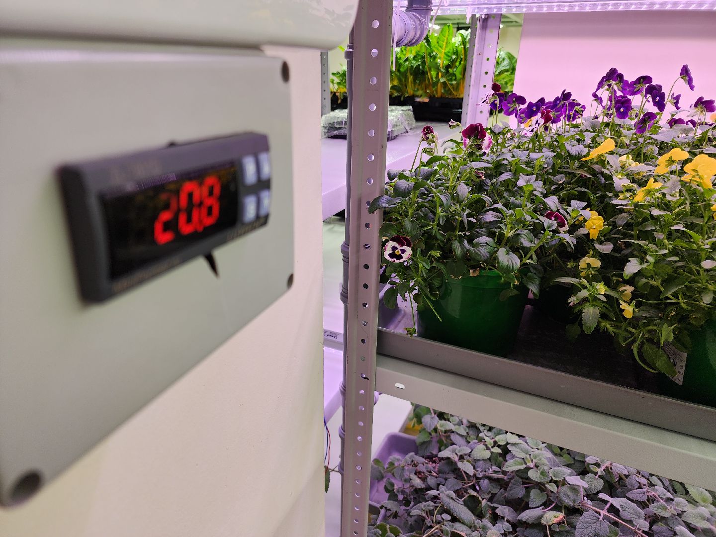 вертикали, малый бизнес, орехово зуево,вертикалка, вертикальное видео,