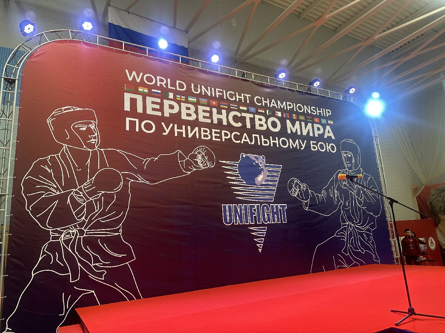 спорт, чемпионат мира,