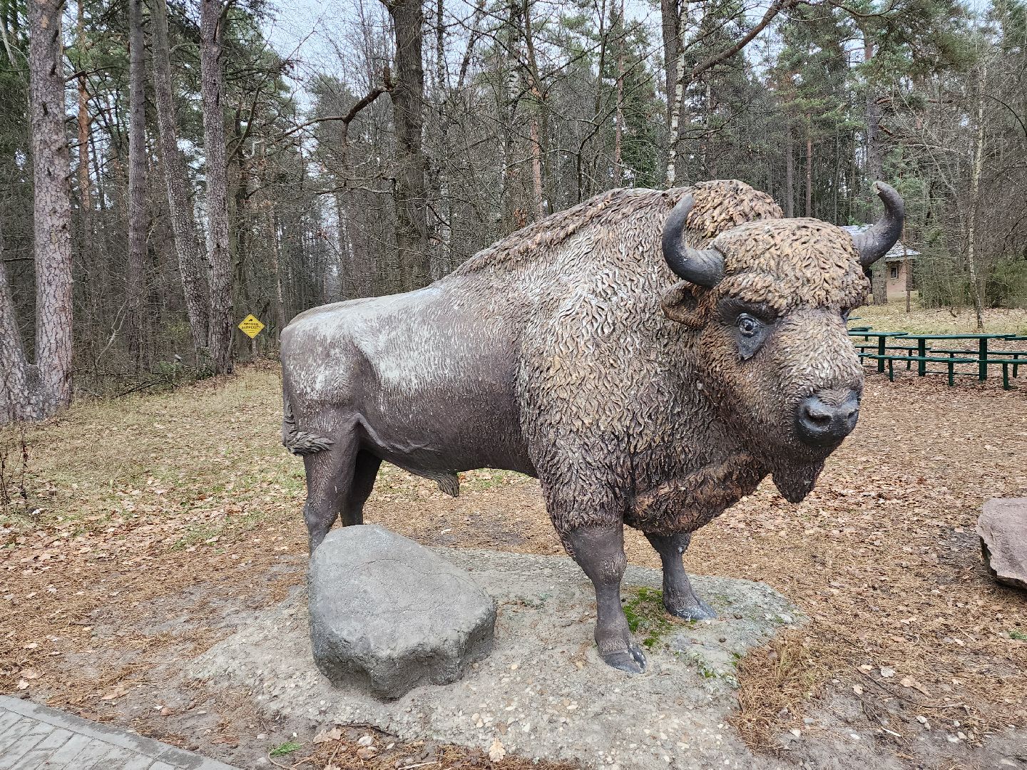 серпухов, подмосковье, приокско-террасный заповедник, зубры, вологда,