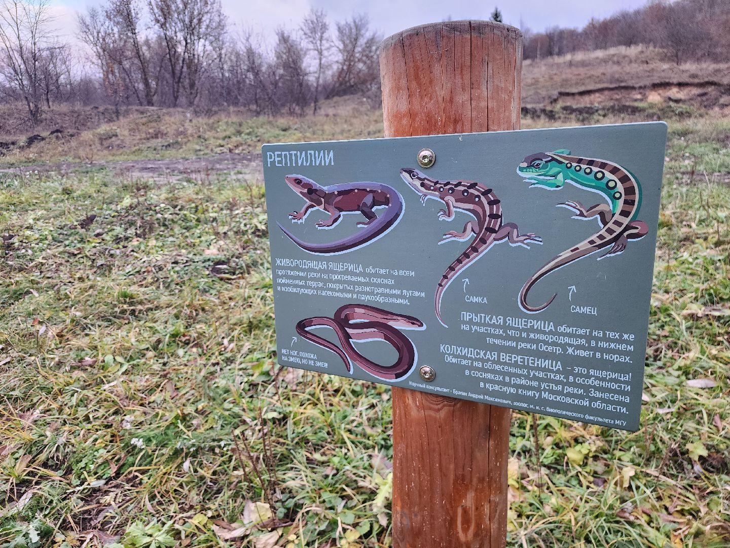 Зарайск, туризм, достопримечательности,