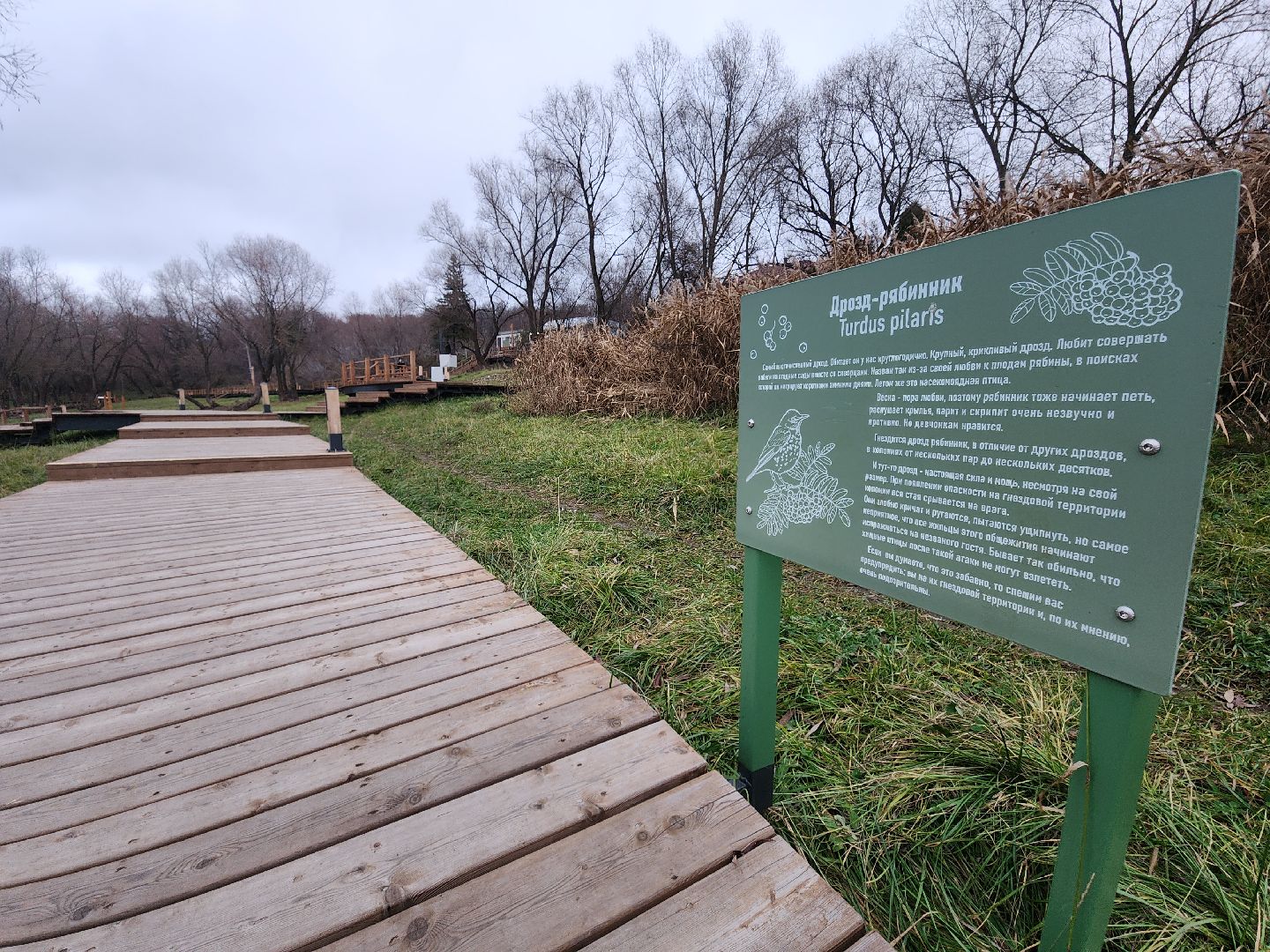 Зарайск, туризм, достопримечательности,