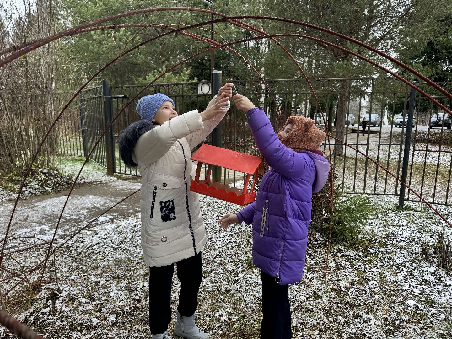 шаховская, кормушки, лесничество, лесная школа, вертикалки,