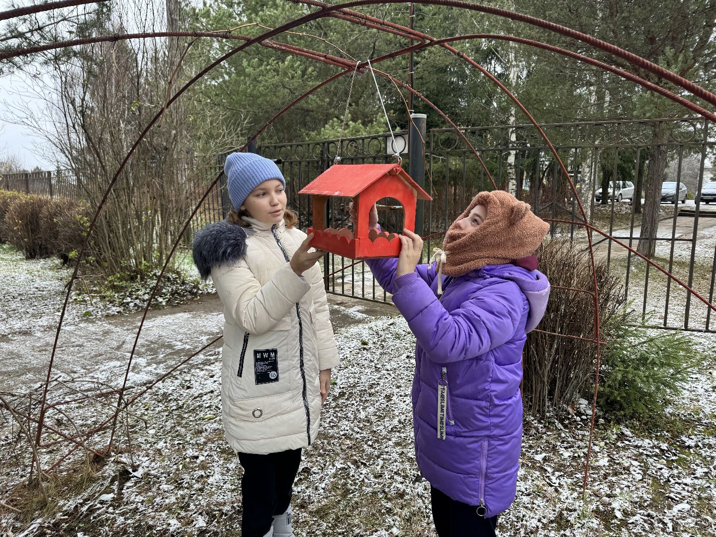 шаховская, кормушки, лесничество, лесная школа, вертикалки,