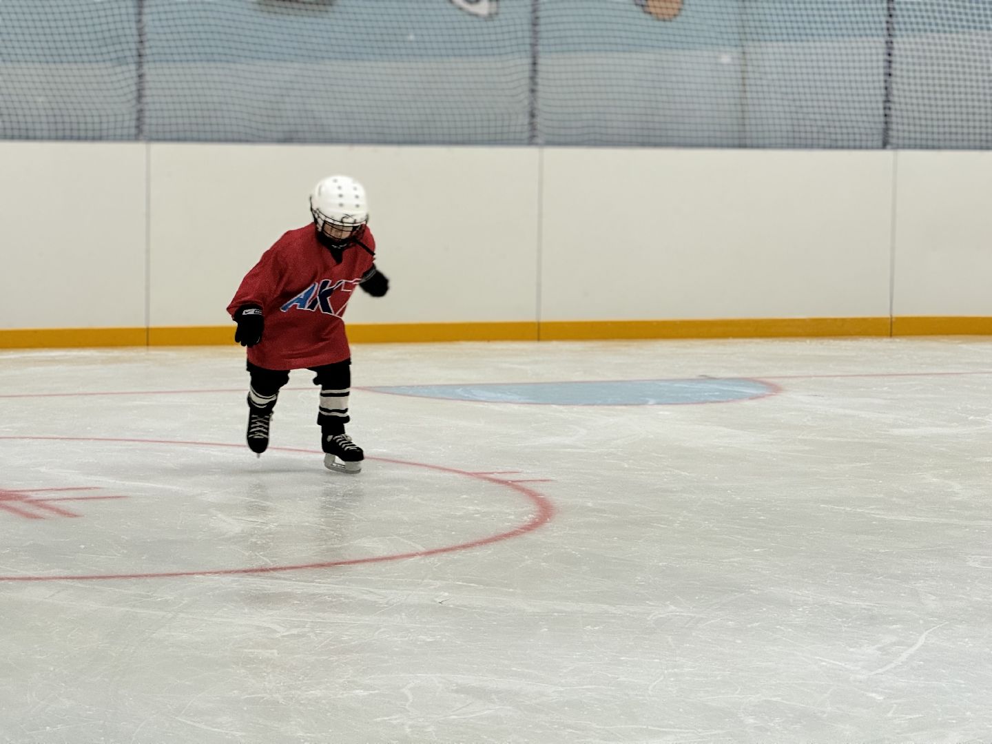 Хоккейная академия, Хоккей для детей, Академия имени Касатонова, Алексей Касатонов, Федерация хоккея России, Красная машина, Село Молоково,