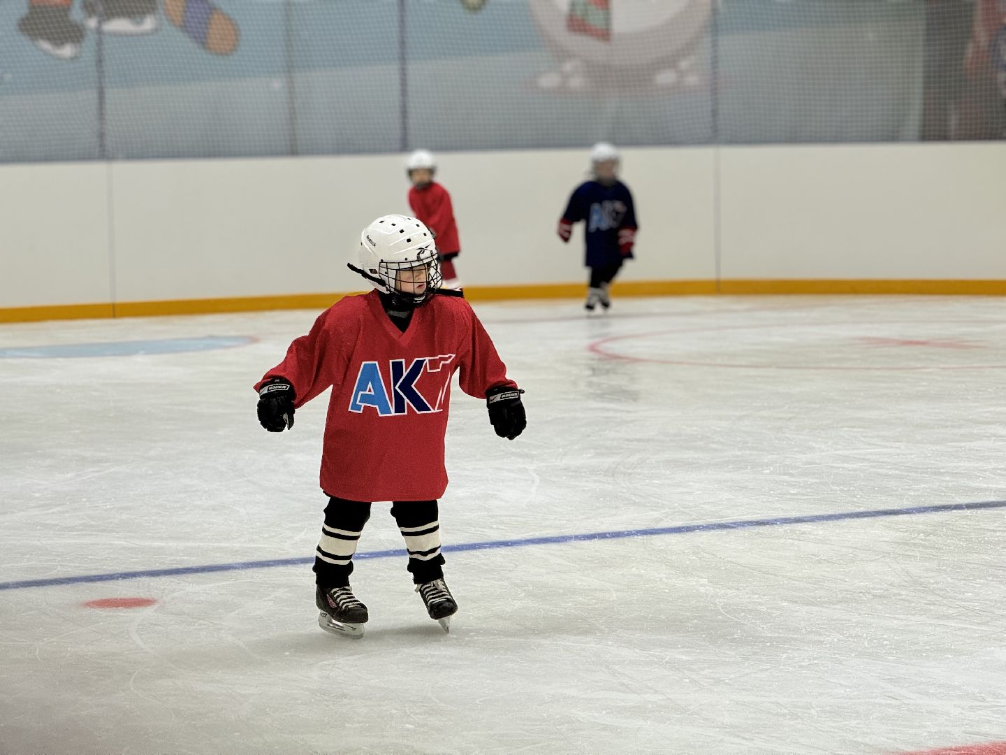 Хоккейная академия, Хоккей для детей, Академия имени Касатонова, Алексей Касатонов, Федерация хоккея России, Красная машина, Село Молоково,