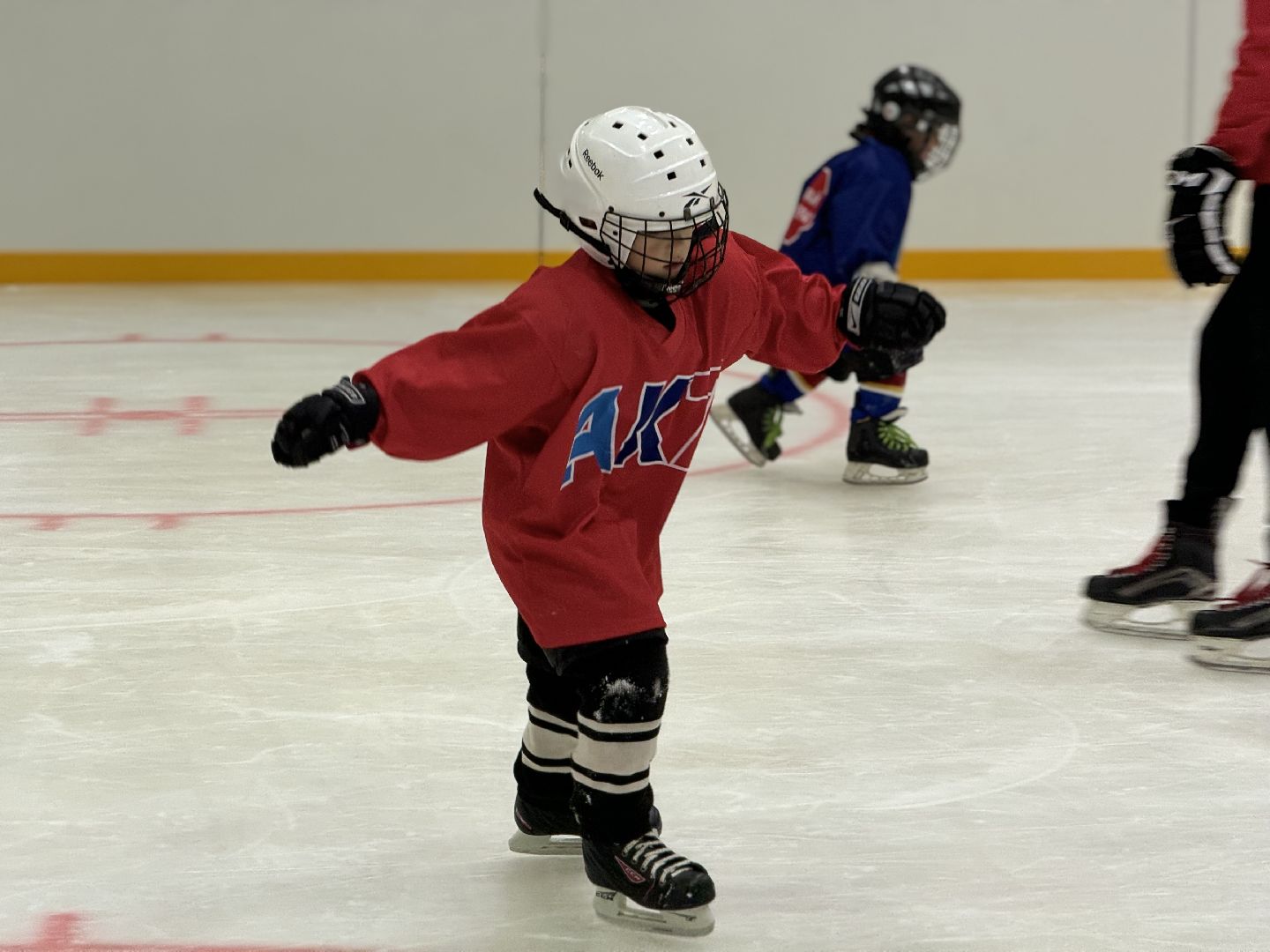 Хоккейная академия, Хоккей для детей, Академия имени Касатонова, Алексей Касатонов, Федерация хоккея России, Красная машина, Село Молоково,