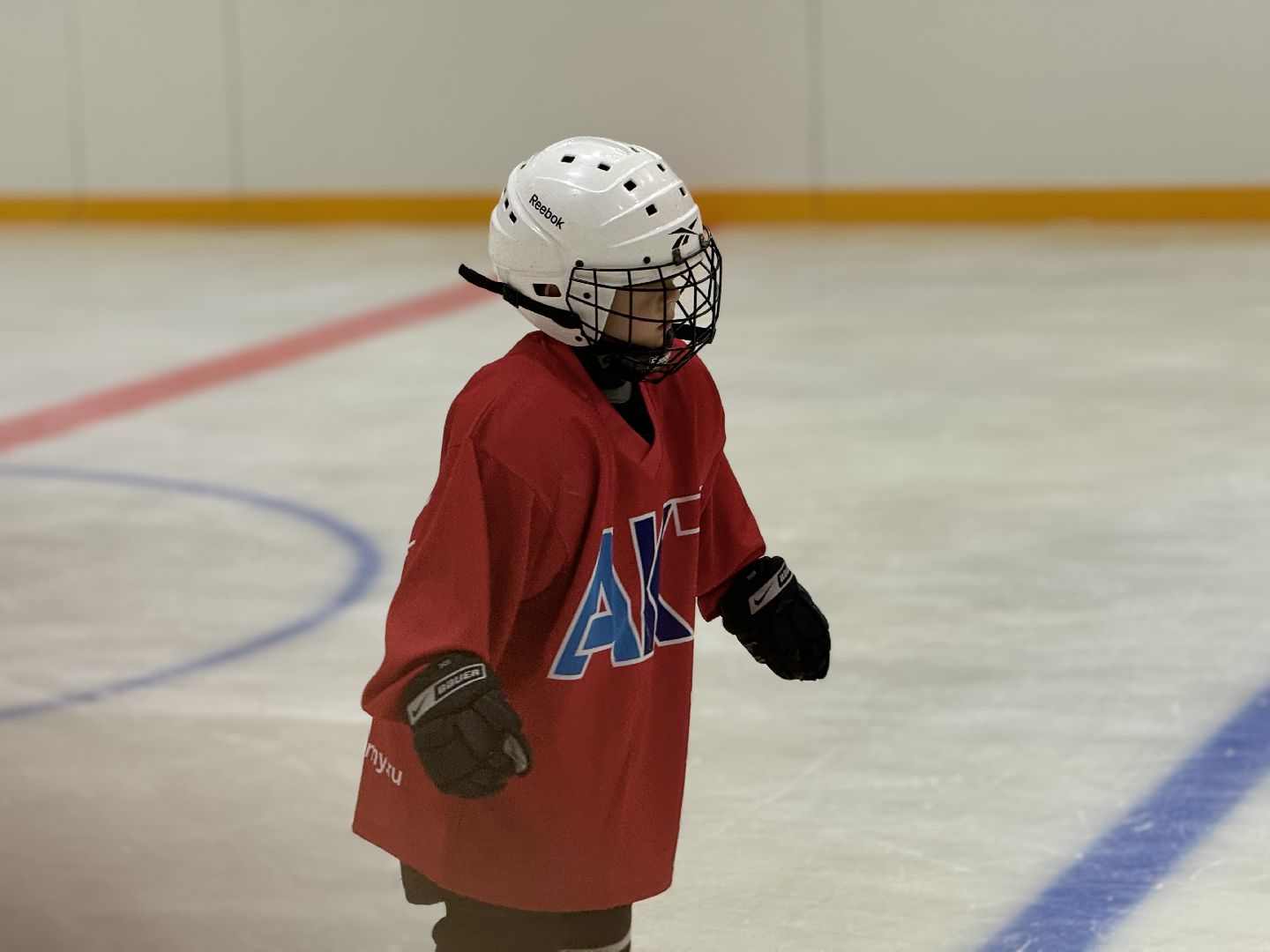 Хоккейная академия, Хоккей для детей, Академия имени Касатонова, Алексей Касатонов, Федерация хоккея России, Красная машина, Село Молоково,