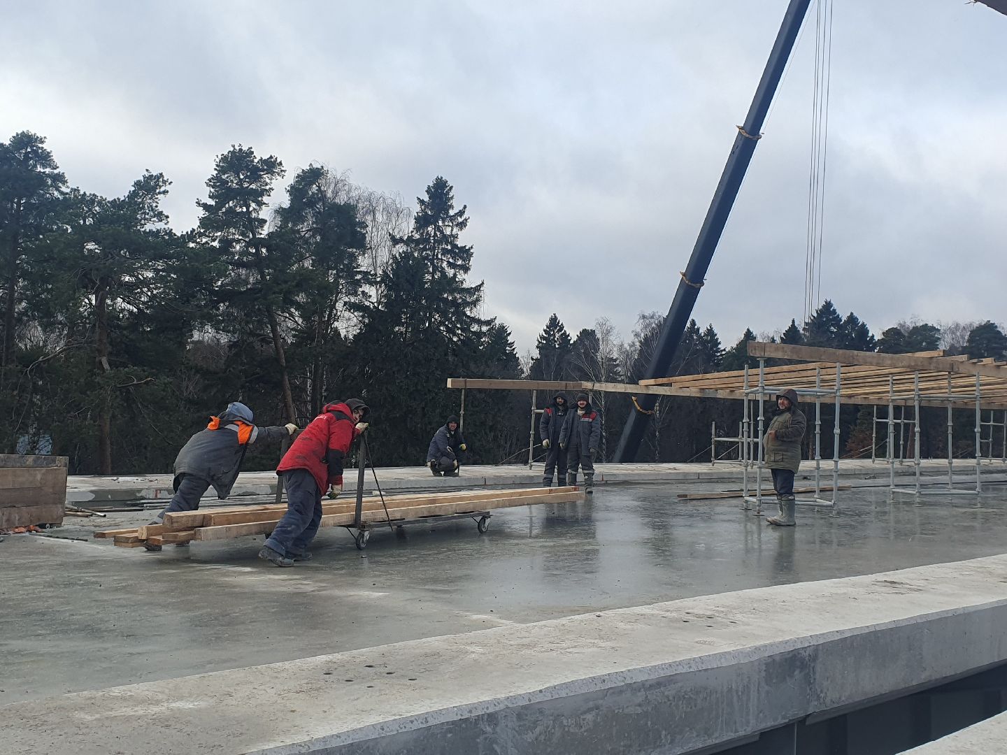 вертикалки, виноградово-болтино-тарасовка, пироговского шоссе,