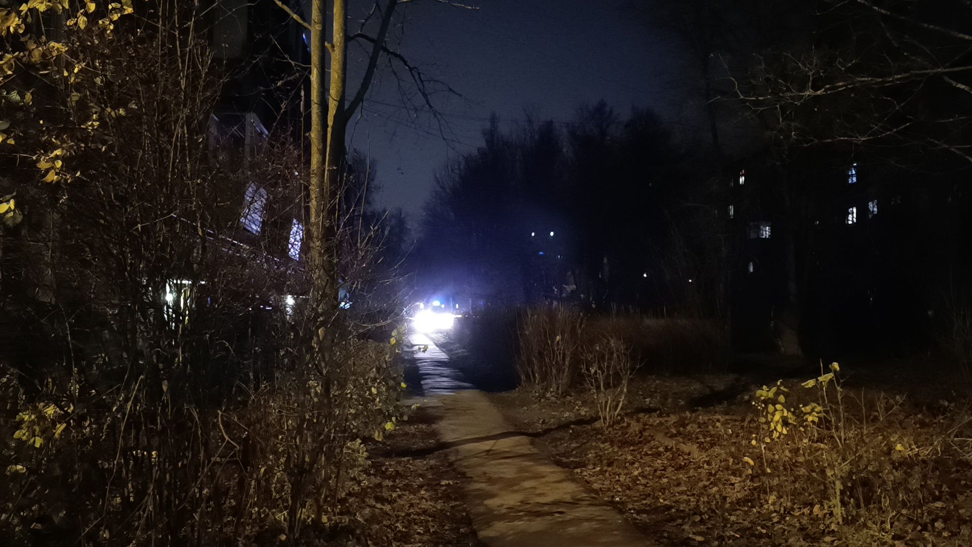 мина, чп, лобня,