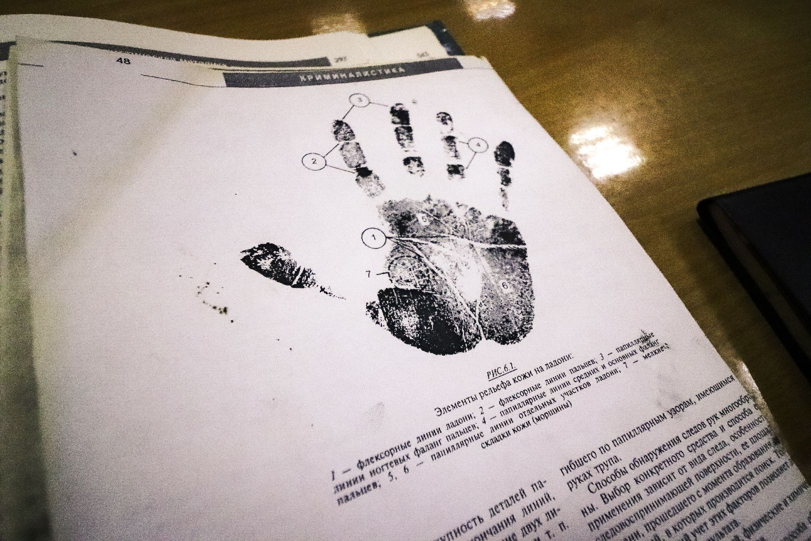 Клин, общество, дети, образование, профориентация, криминалистика,