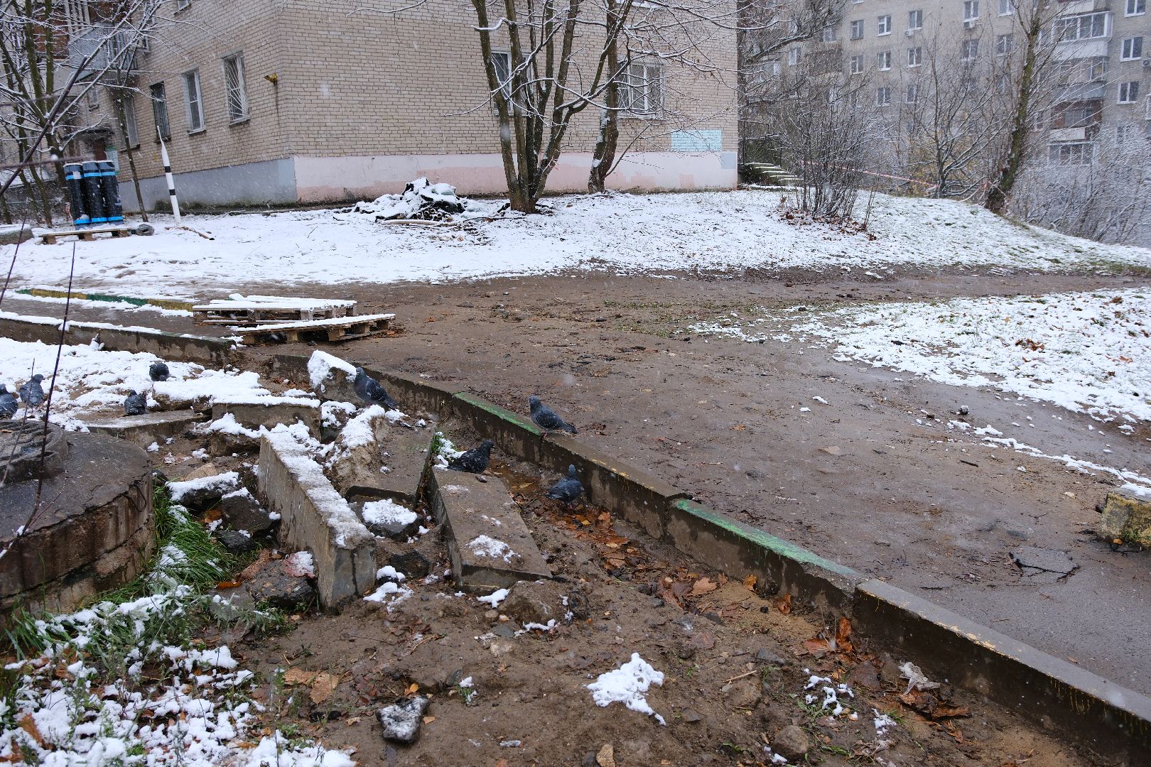 общество, Лыткарино, выездная администрация, вертикалка,