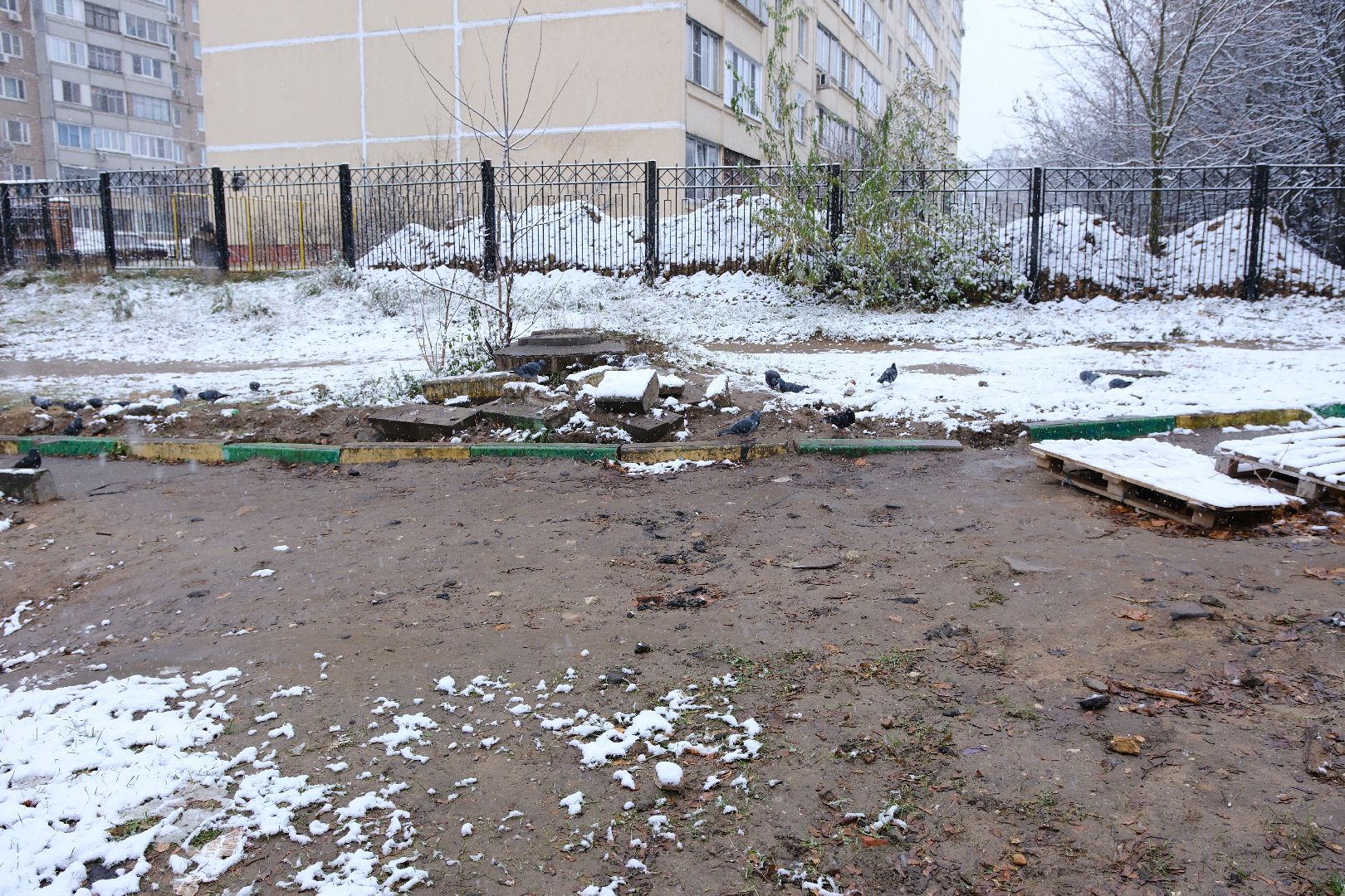 общество, Лыткарино, выездная администрация, вертикалка,