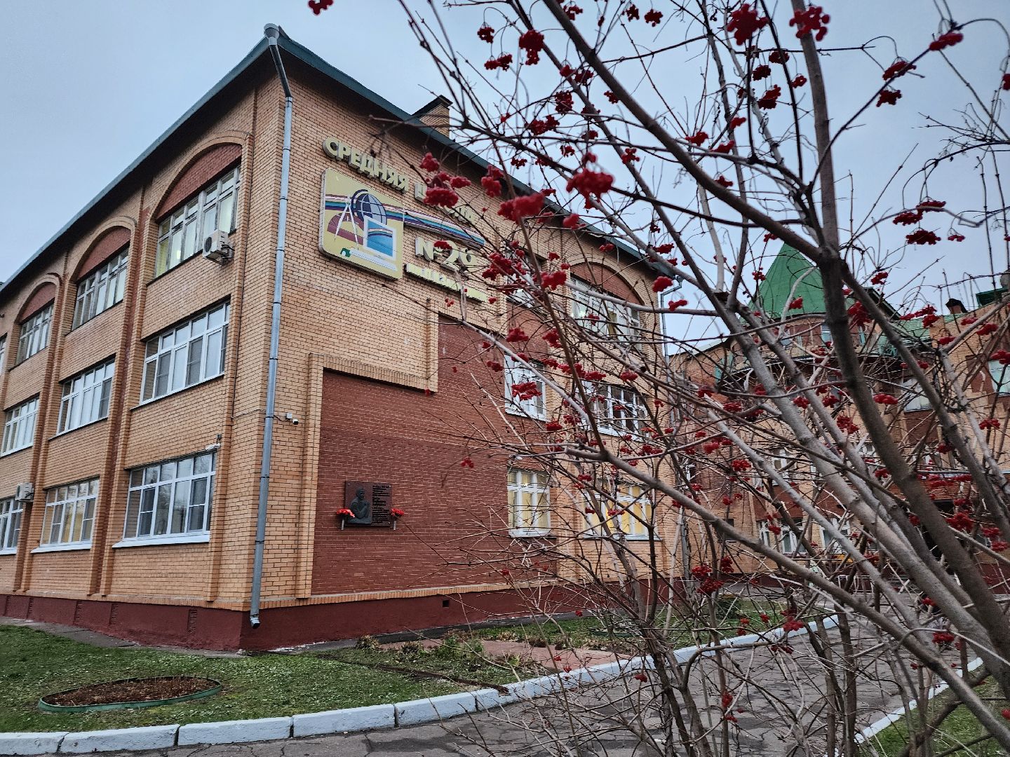 подольск, 29 школа, гидропоника, оранжерея, школьная оранжерея,