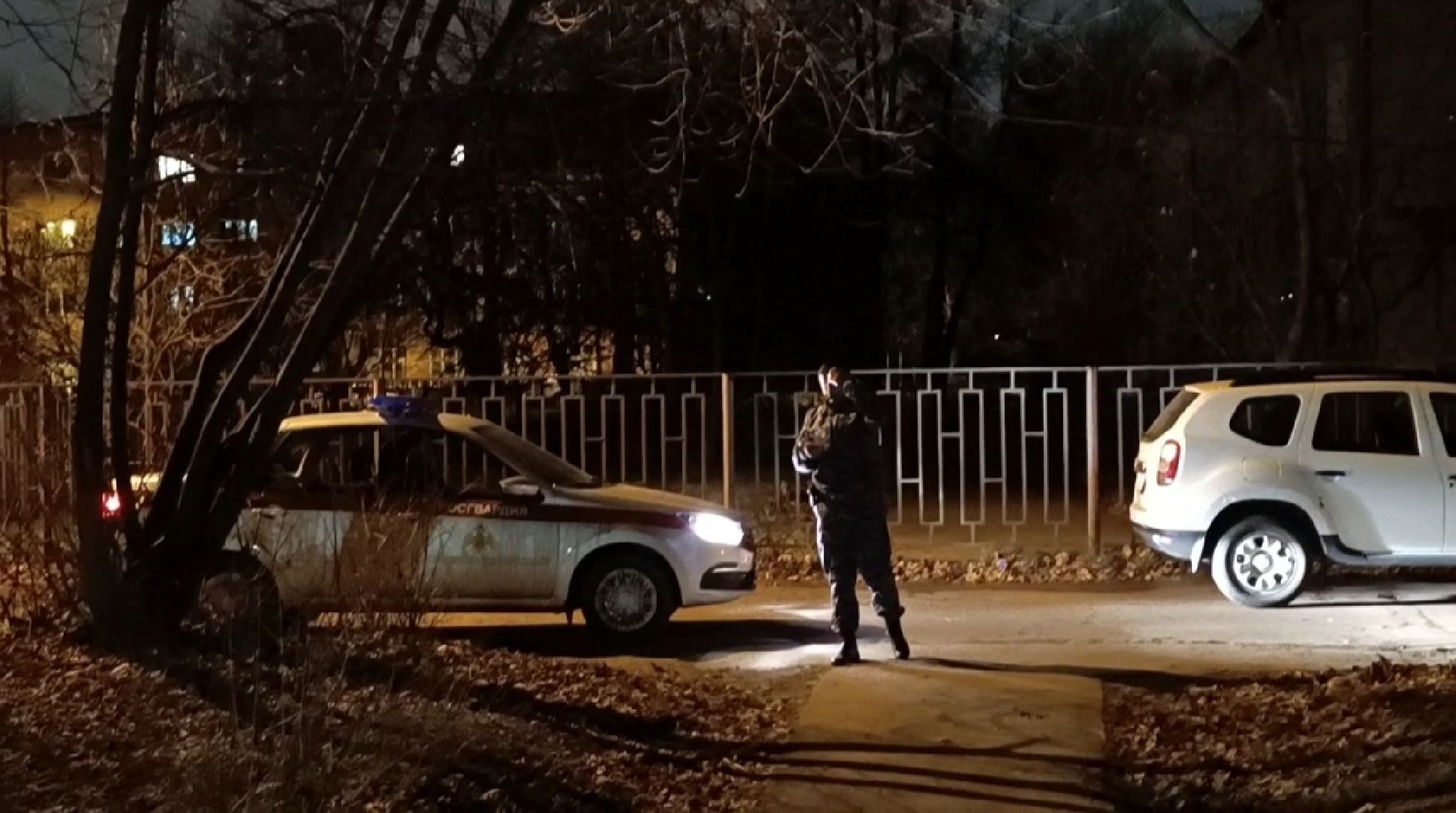 чп, лобня, мина,