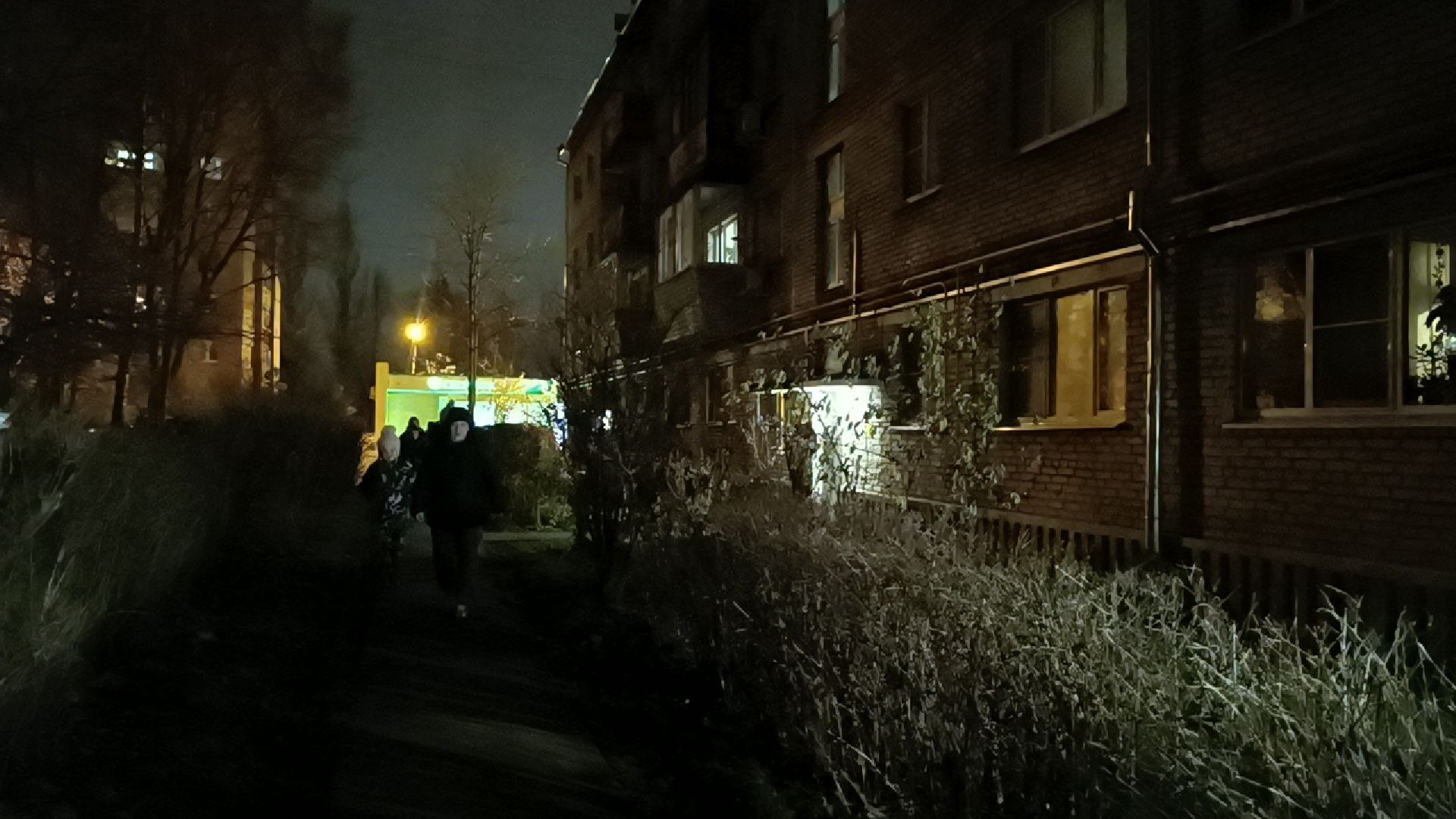 чп, лобня, мина,