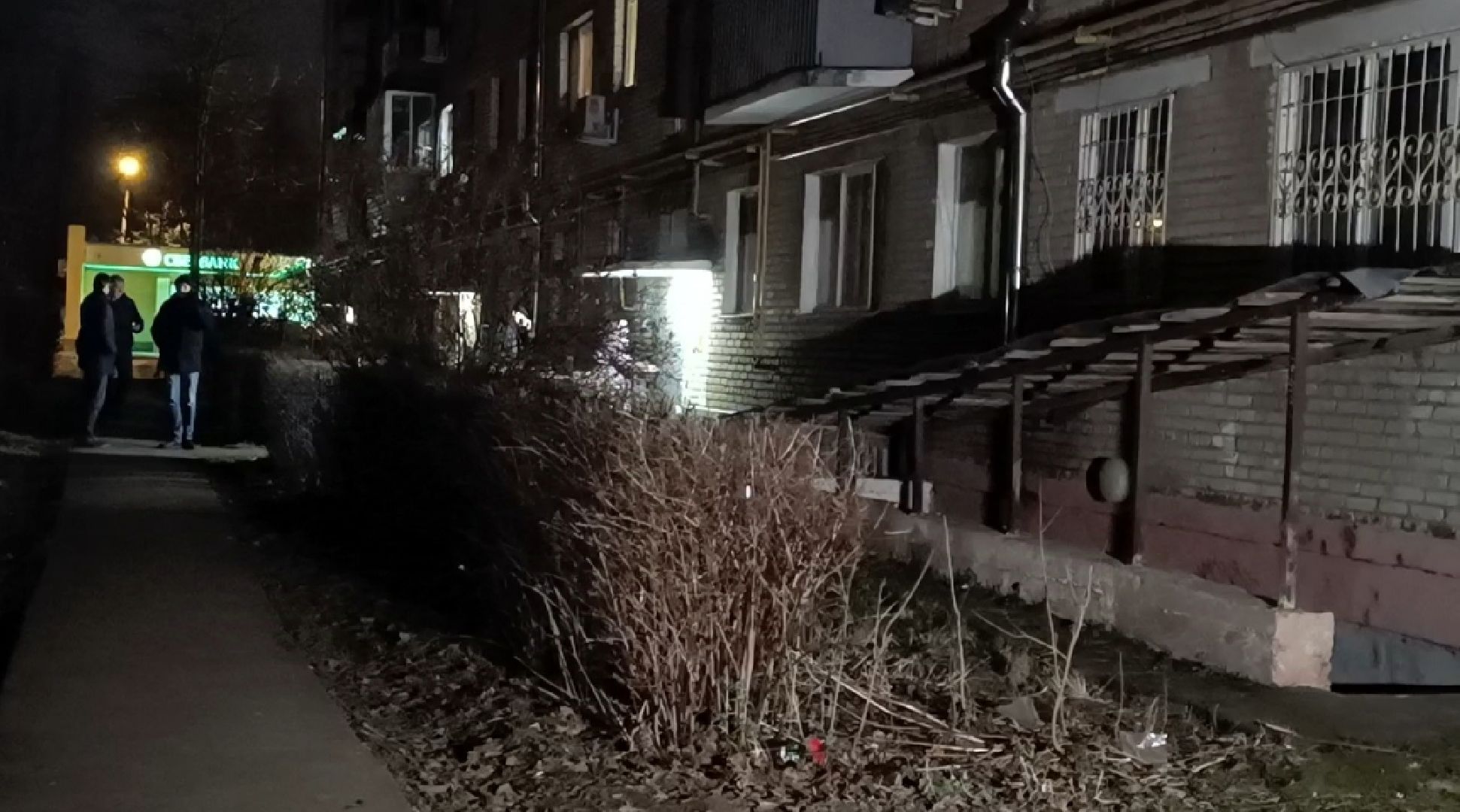 чп, лобня, мина,