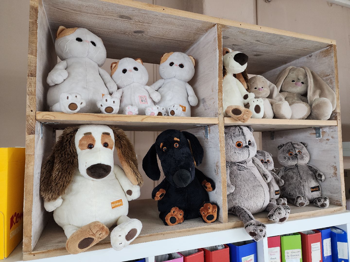 выездная администрация, выездная администрация можайск, Буди баса, Предприятие, Можайск, можайский городской округ, московская область,