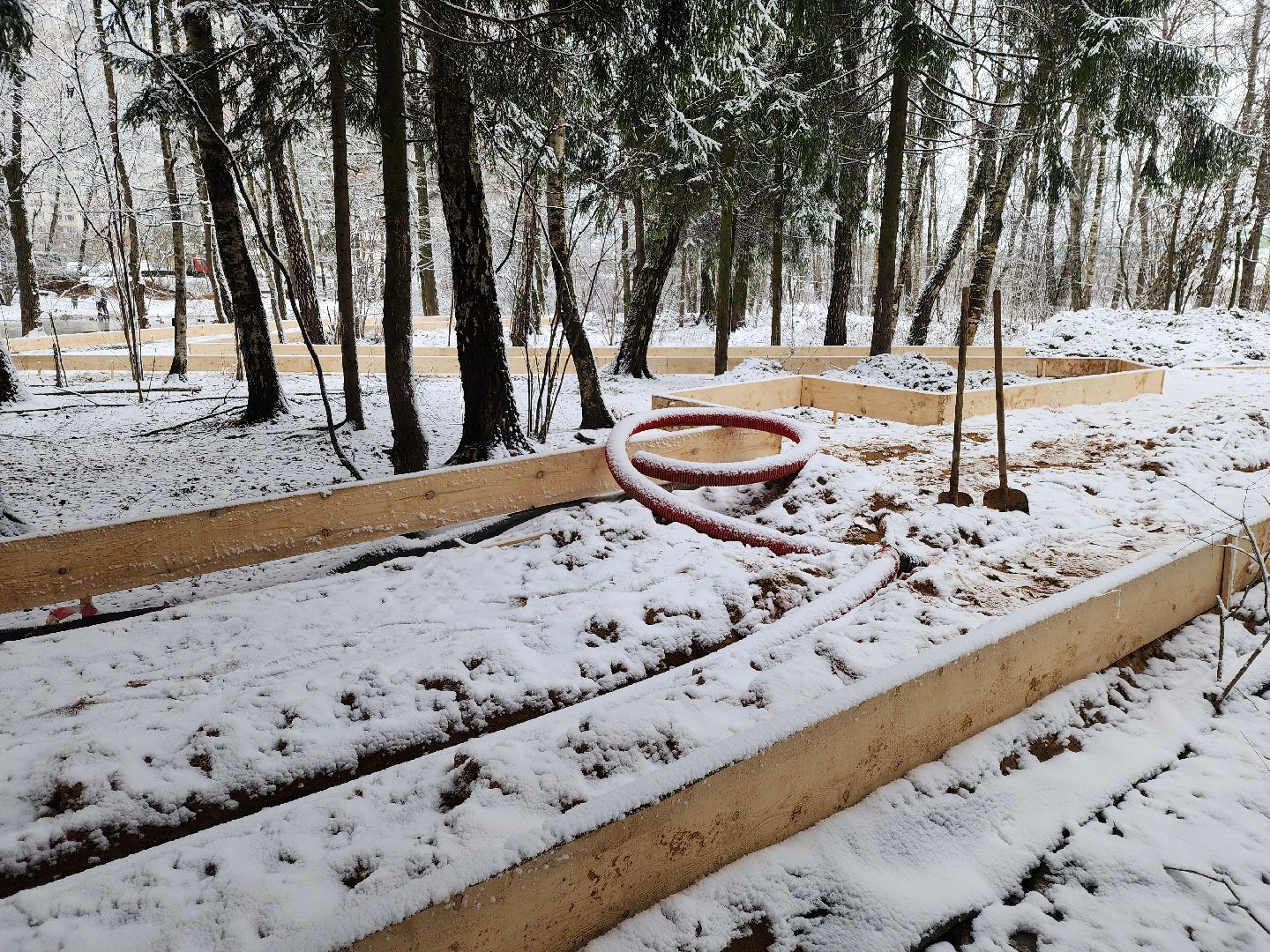 одинцово, Министерство благоустройства, трехгорка, подушкинский лесопарк, благоустройство, вертикалка, вертикальное видео,