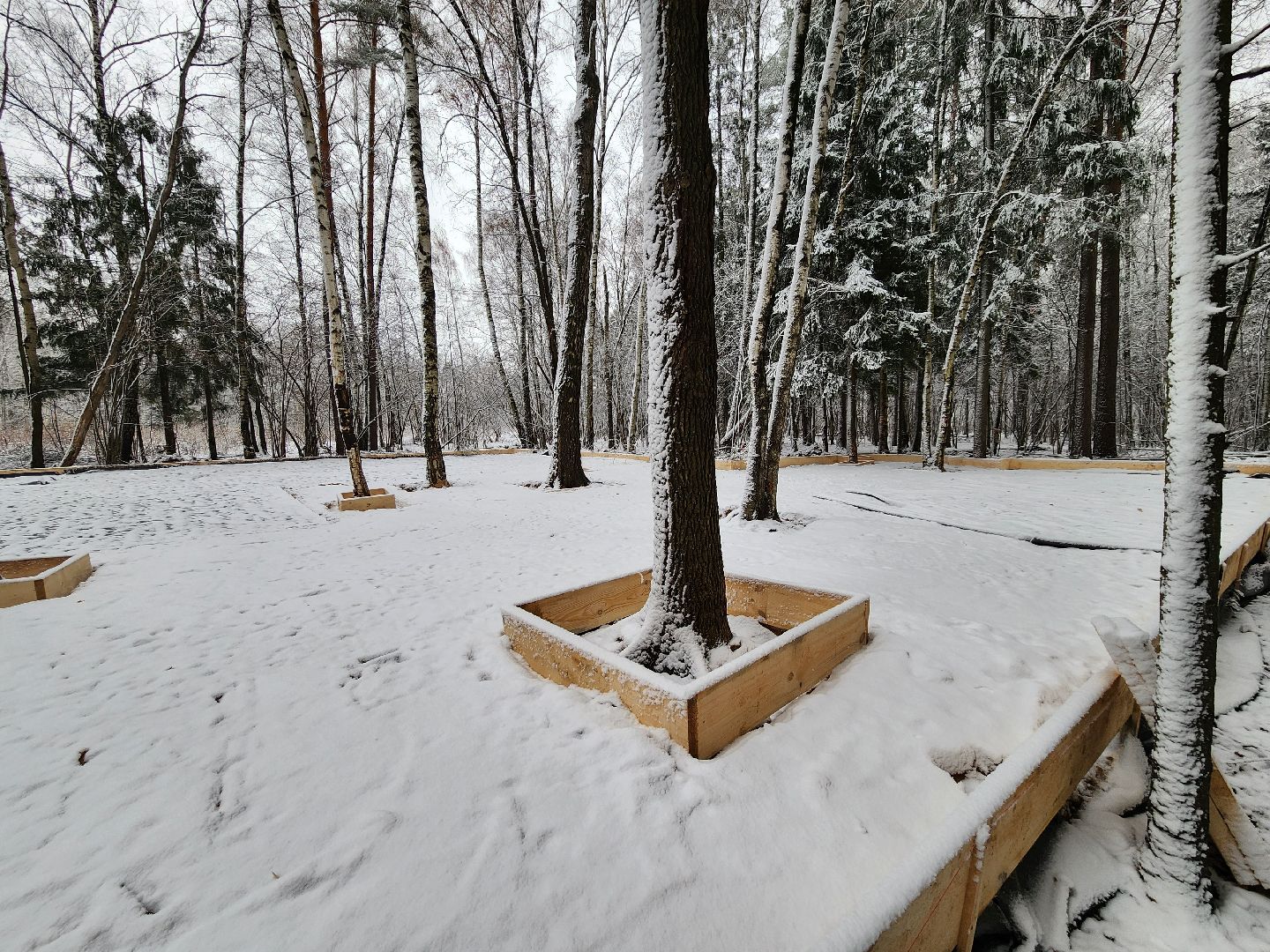 одинцово, Министерство благоустройства, трехгорка, подушкинский лесопарк, благоустройство, вертикалка, вертикальное видео,