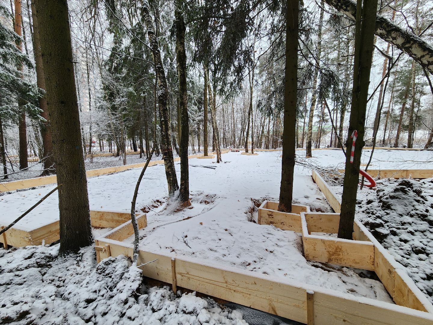 одинцово, Министерство благоустройства, трехгорка, подушкинский лесопарк, благоустройство, вертикалка, вертикальное видео,