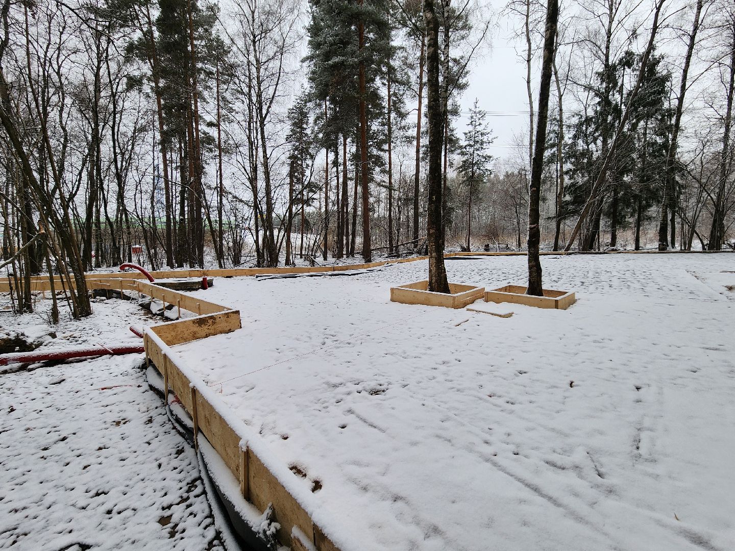 одинцово, Министерство благоустройства, трехгорка, подушкинский лесопарк, благоустройство, вертикалка, вертикальное видео,