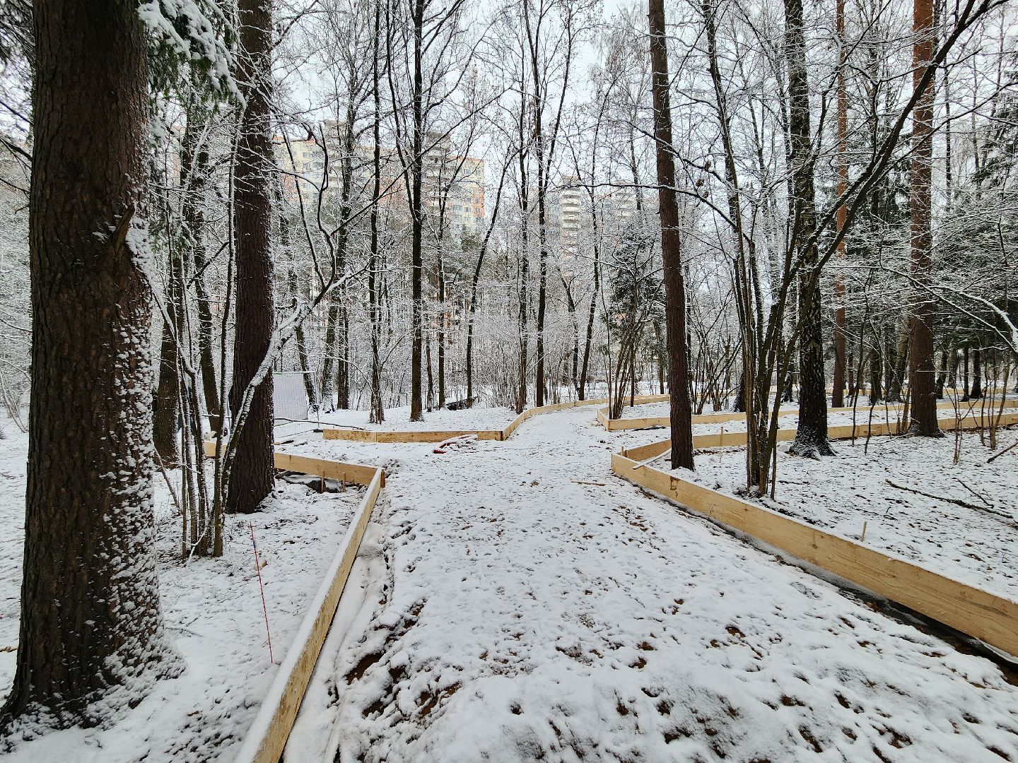 одинцово, Министерство благоустройства, трехгорка, подушкинский лесопарк, благоустройство, вертикалка, вертикальное видео,