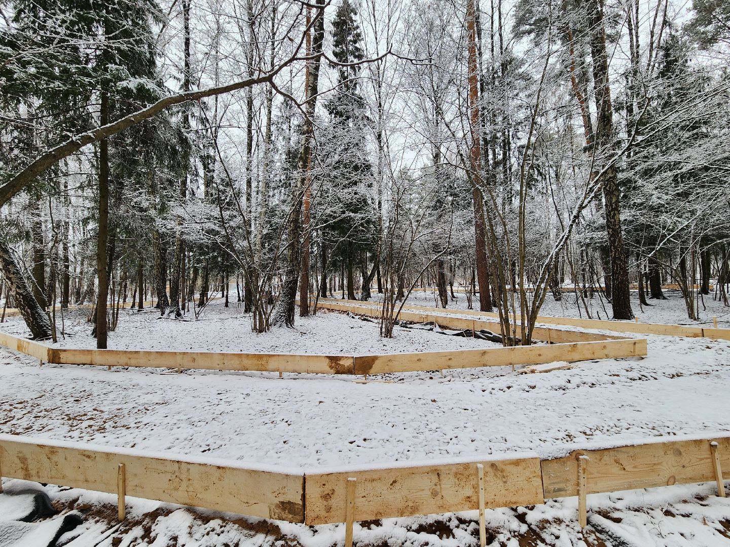 одинцово, Министерство благоустройства, трехгорка, подушкинский лесопарк, благоустройство, вертикалка, вертикальное видео,