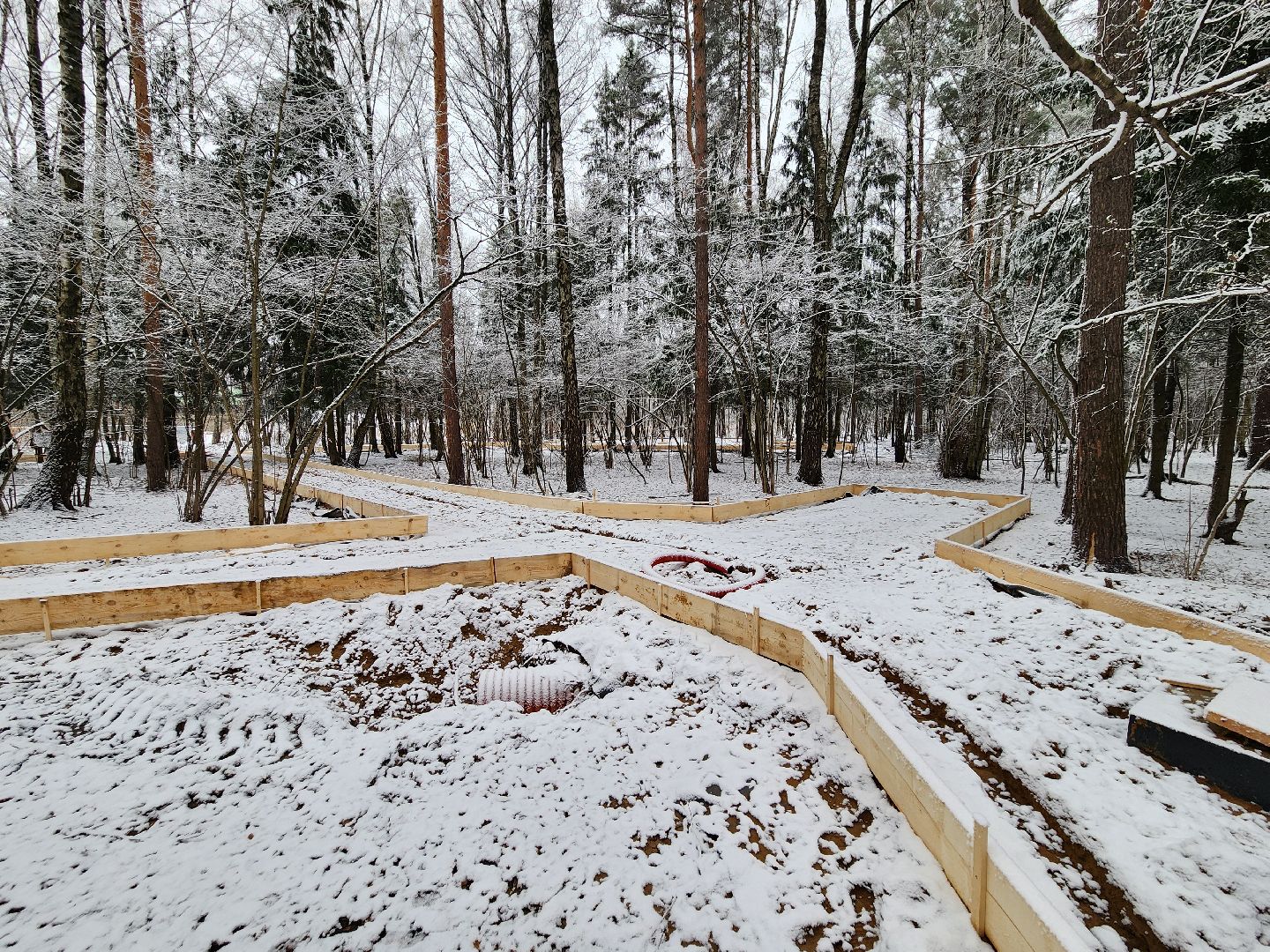одинцово, Министерство благоустройства, трехгорка, подушкинский лесопарк, благоустройство, вертикалка, вертикальное видео,