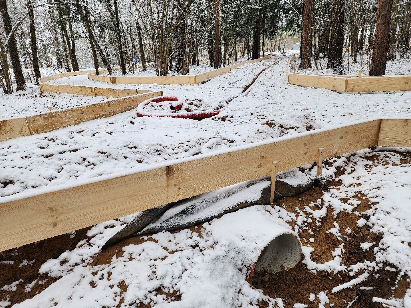 одинцово, Министерство благоустройства, трехгорка, подушкинский лесопарк, благоустройство, вертикалка, вертикальное видео,