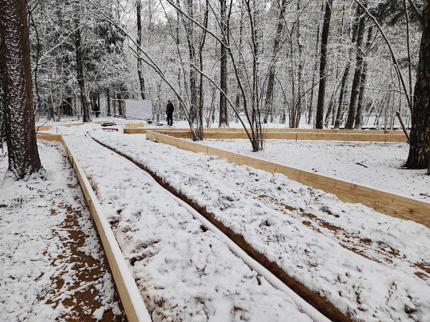 одинцово, Министерство благоустройства, трехгорка, подушкинский лесопарк, благоустройство, вертикалка, вертикальное видео,