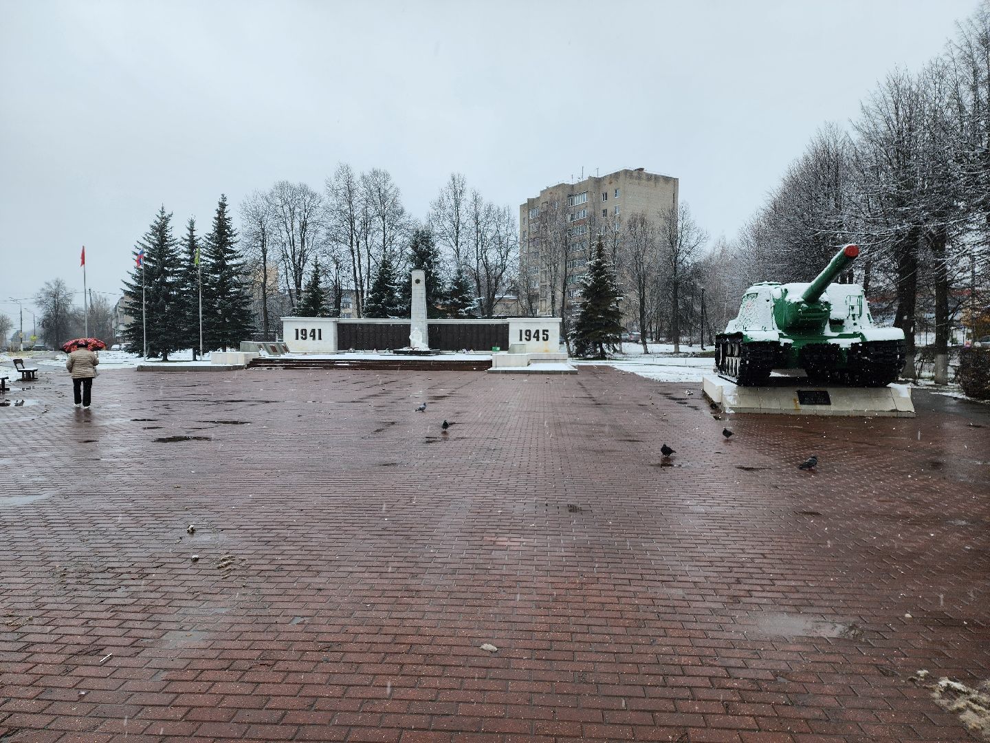 красноармейск, городской округ пушкинский, уборка снега, вертикалки,