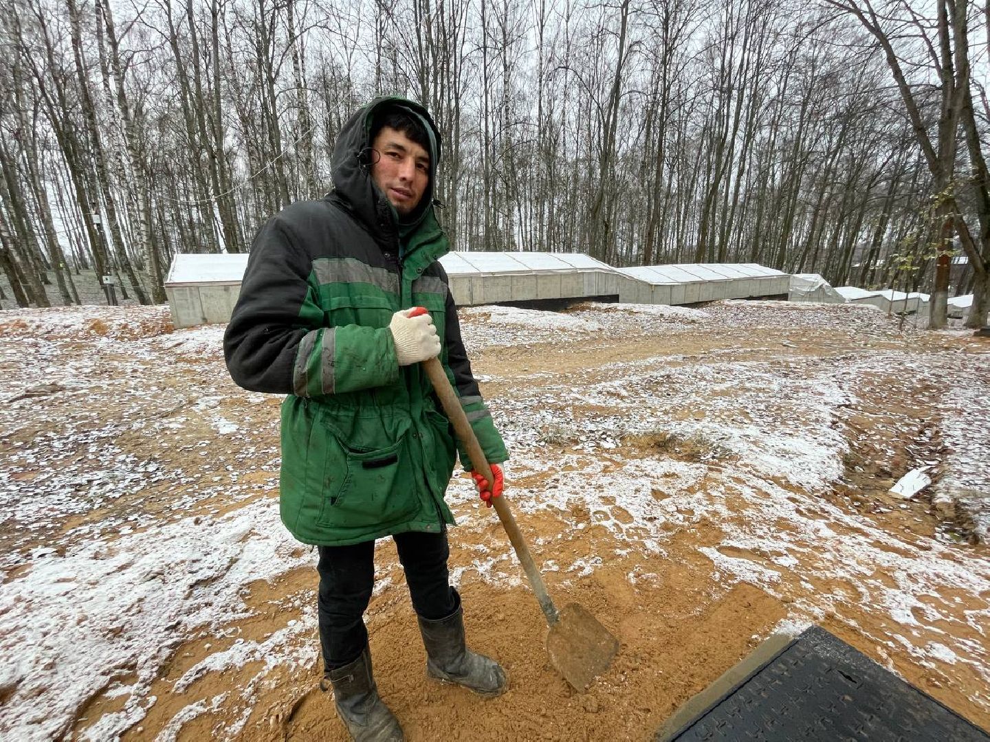 Дмитров, Парк Березовая роща, Минблаго, вертикалки