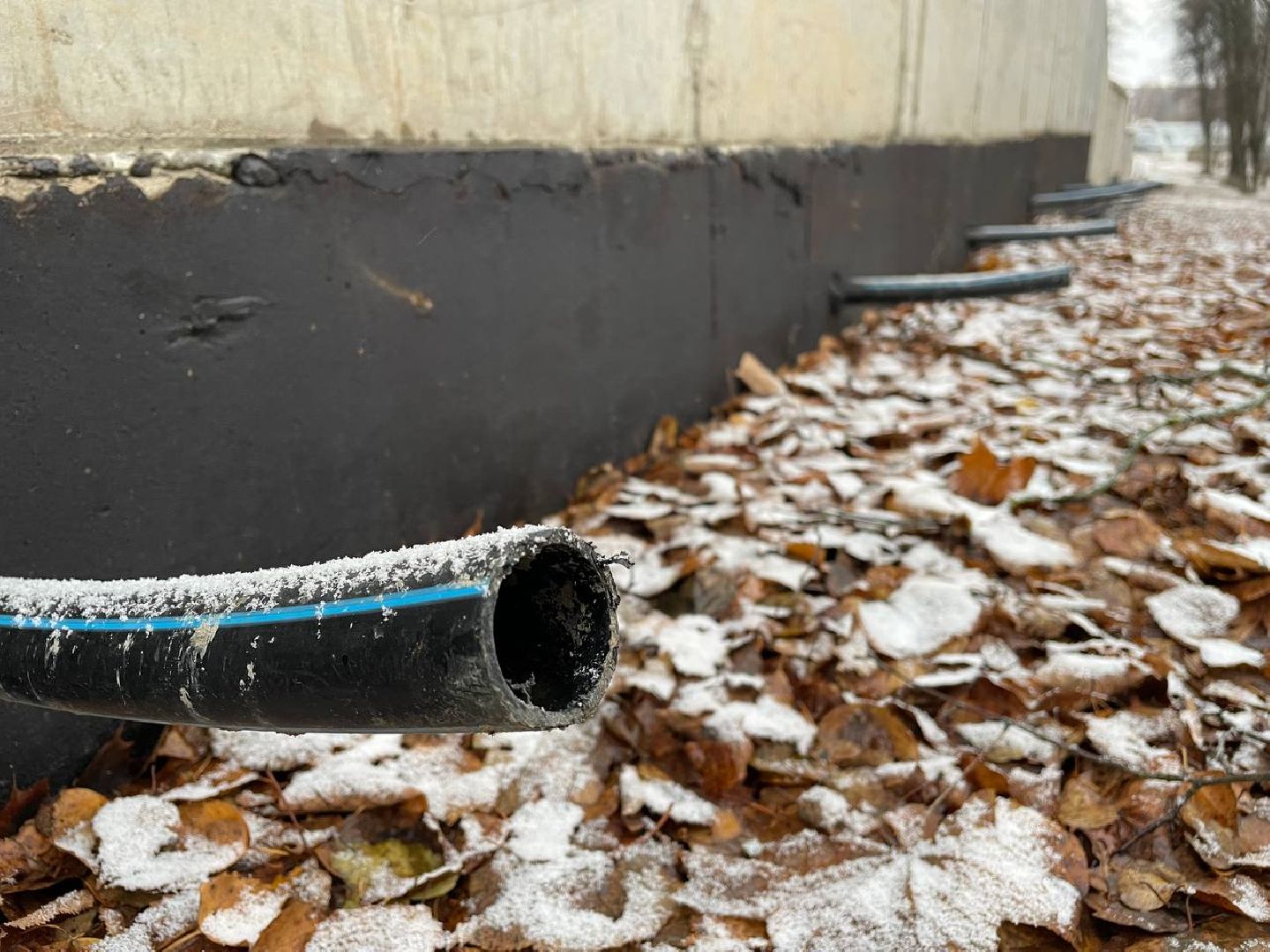 Дмитров, Парк Березовая роща, Минблаго, вертикалки