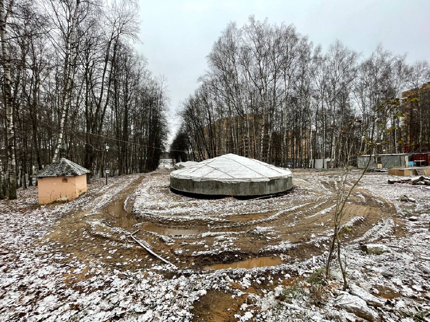 Дмитров, Парк Березовая роща, Минблаго, вертикалки