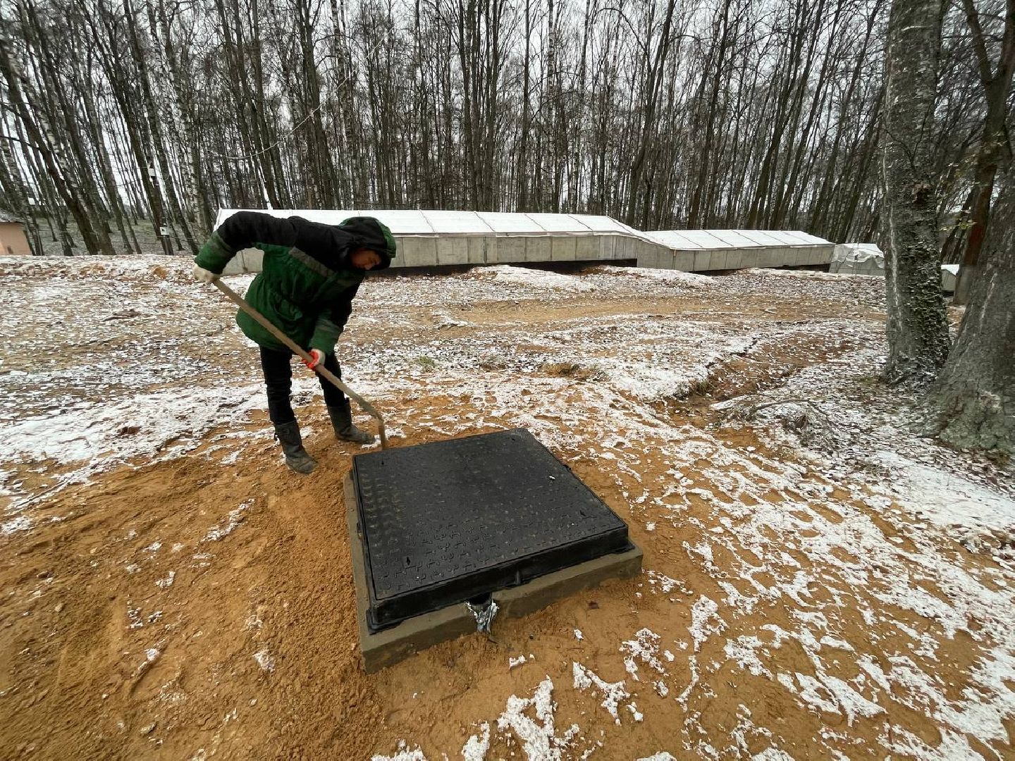 Дмитров, Парк Березовая роща, Минблаго, вертикалки