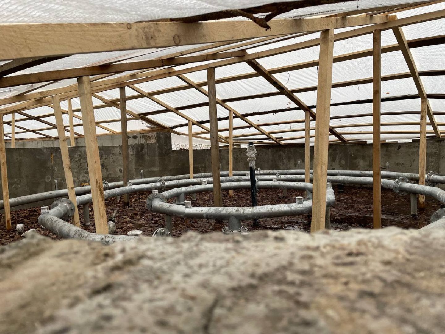 Дмитров, Парк Березовая роща, Минблаго, вертикалки