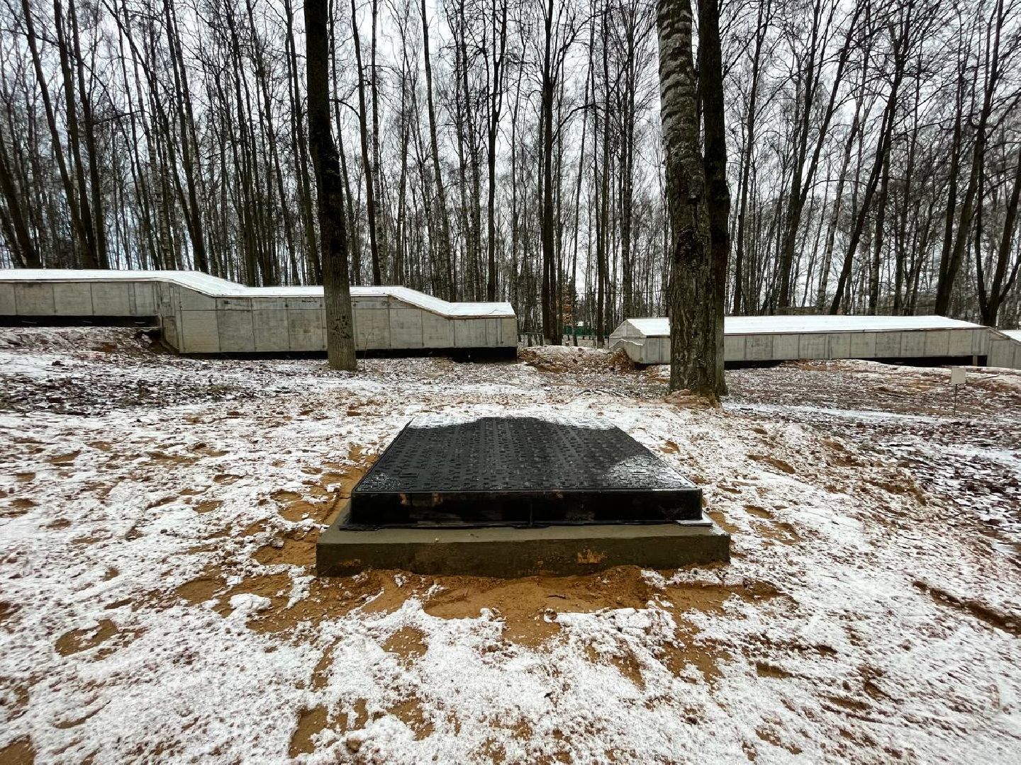 Дмитров, Парк Березовая роща, Минблаго, вертикалки