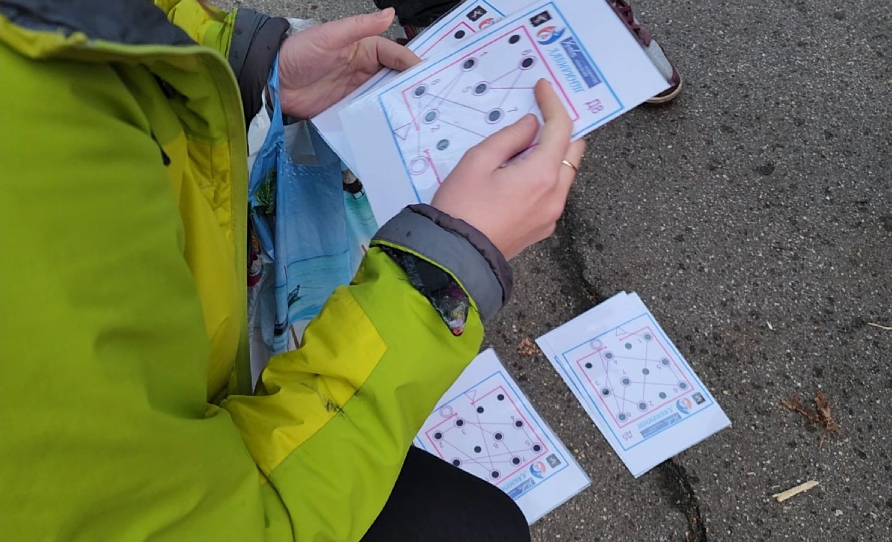 спорт, ориентирование, школа,