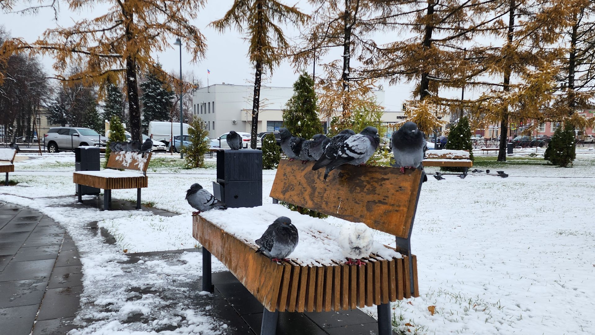 Бронницы, После снегопада, Площадь Тимофеева, Автостанция, Вертикальное видео, Вертикалка,