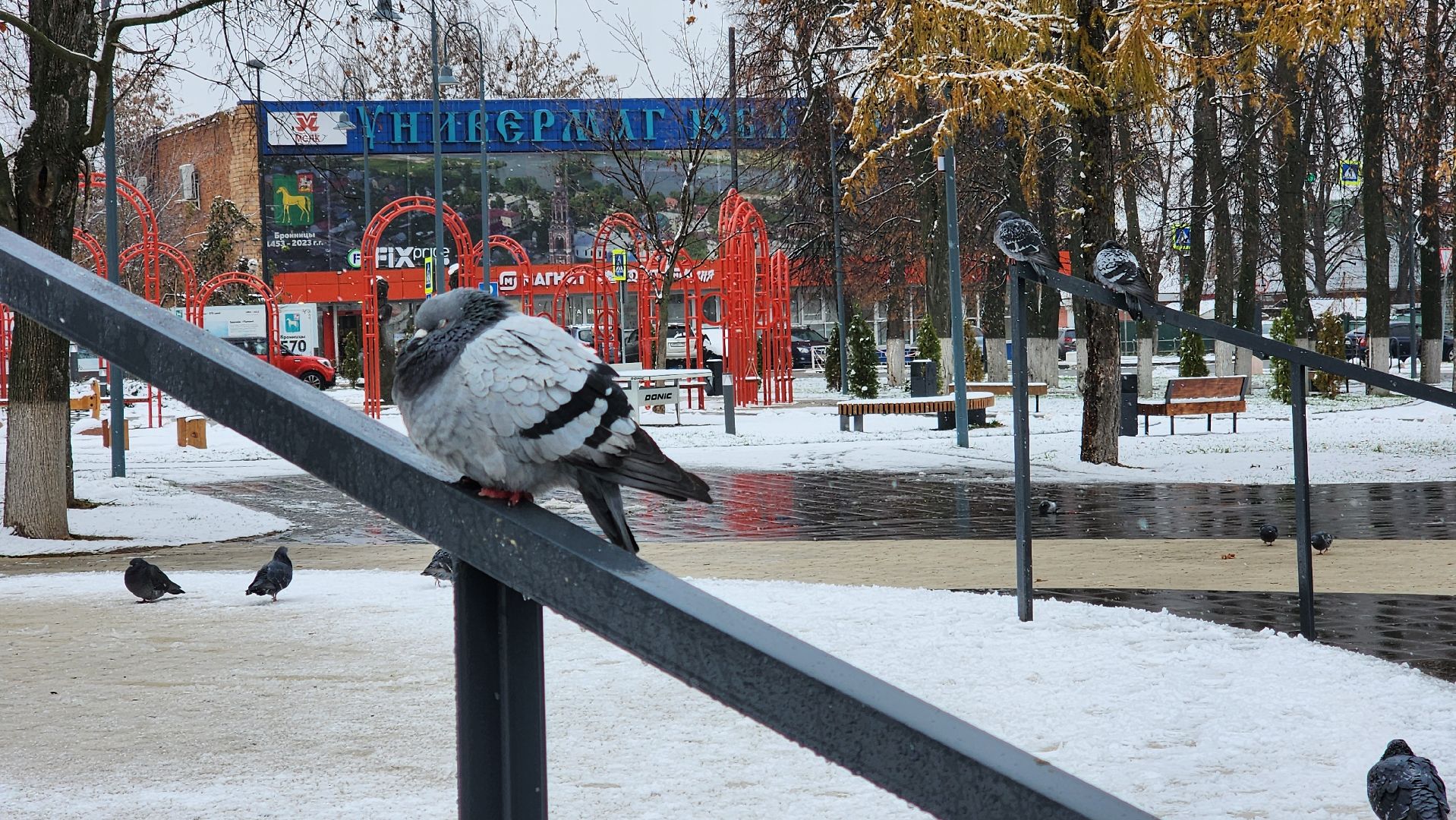 Бронницы, После снегопада, Площадь Тимофеева, Автостанция, Вертикальное видео, Вертикалка,