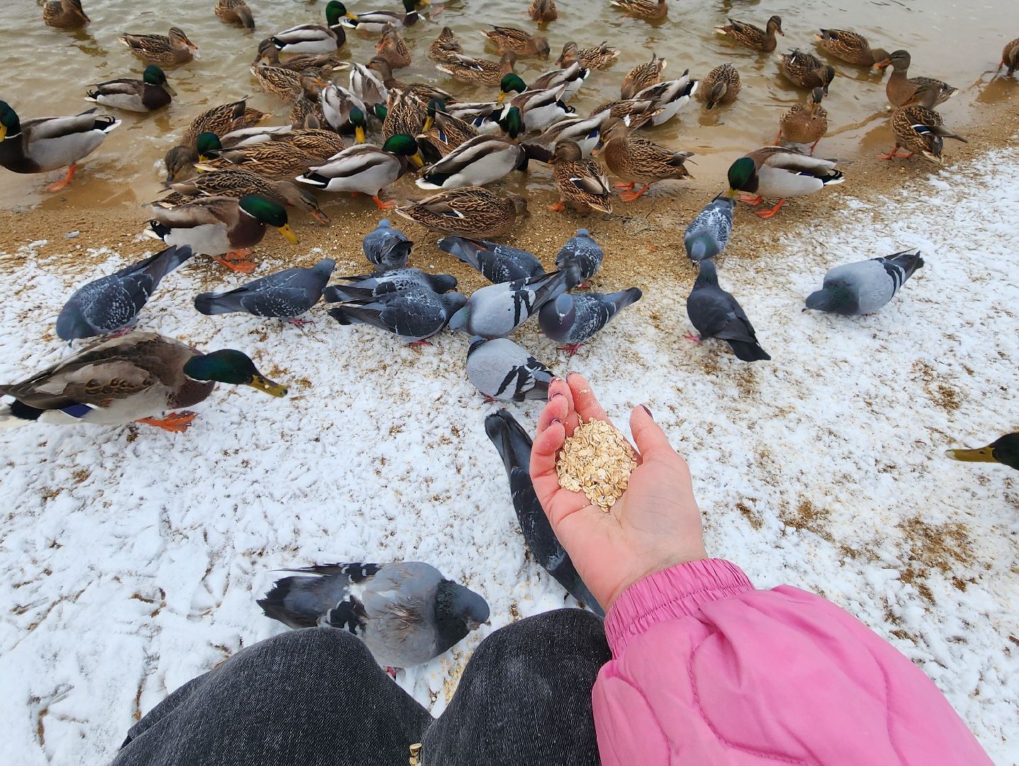 Дубна, Снегопад, снег, Погода, вертикалки,