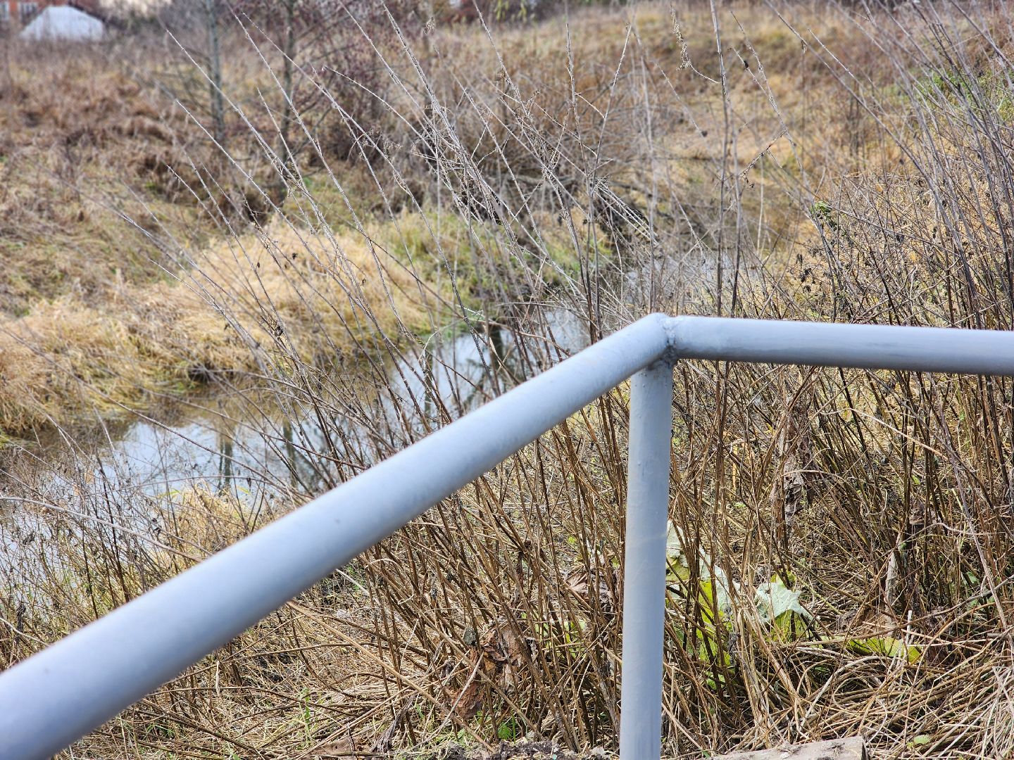 воскресенск, благоустройство, родник, вертикалки,