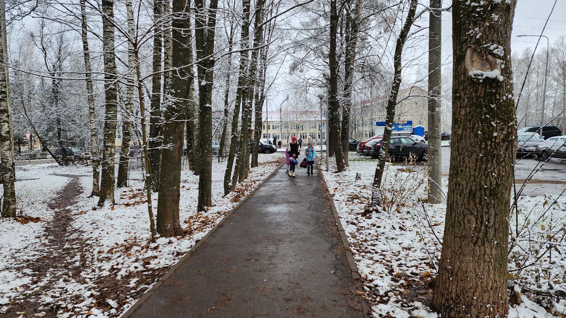 Солнечногорск, Вериикалки, Уборка снега, Снегопад, ЖКХ,