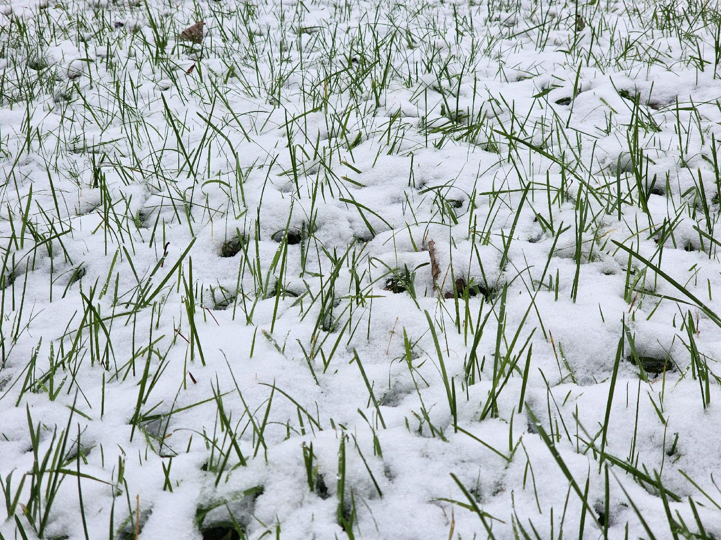 ногинск, жители, общество, жкх, коммунальная служба, уборка снега, снегопад, вертикалки